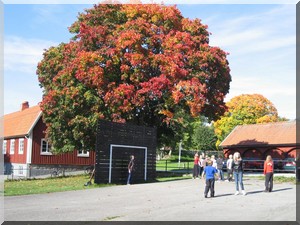 Fridlevstad skola